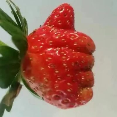 irusさんのプロフィール画像