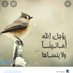 Alyahya ⚖ ⚖ (@AbdAlkreem505) Twitter profile photo
