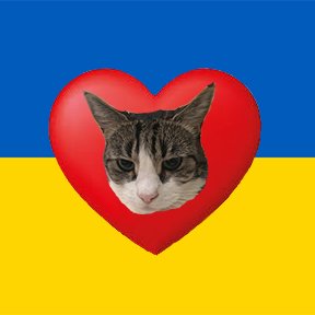 425Happycat's profile picture. Architectural Designer. 😸love❤️
心は故郷。体は🇺🇸。ニャンコ大好き😸
コロナ後は旅に出たい。