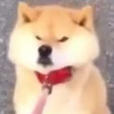 LazaritoMilian's profile picture. 