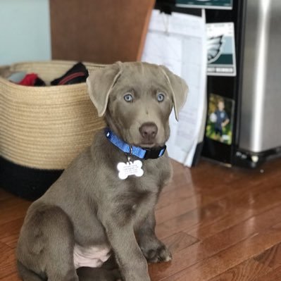 tkennett99's profile picture. American. Husband, Father, Brother, Uncle. Amateur cook, music fan, and a Philly sports fanatic.