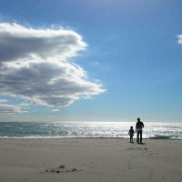 ただろっそ (@torosso7) 's Twitter Profile