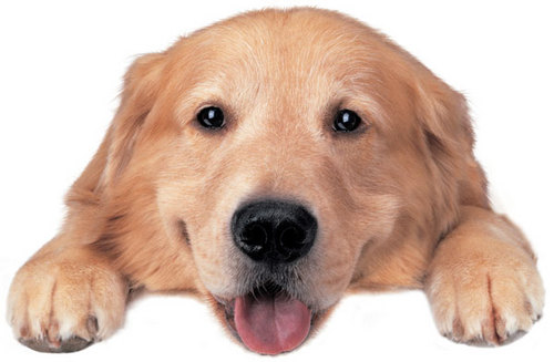 azcarealestate's profile picture. Real Estate Agent based in Phoenix. I have an experienced team of agents in AZ & CA to assist you. Follow me for valuable info on real estate & current events.