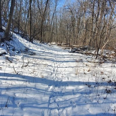 DeathRatejr's profile picture. Michigan Medical Marijuana Patient 
Full Time Father Full Time Hustler.