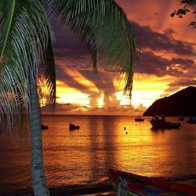 IndiesCottage's profile picture. 