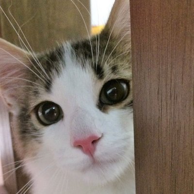 marchan98764543's profile picture. 美味い料理。心地いい音楽。
INFJーT 
  ＃kroi ＃断酒　＃薬膳　＃料理　＃改憲反対　＃筋トレ　　＃HSS型HSP　＃HSP ＃エンパス　＃腰痛克服　＃非接種　＃店舗せどり