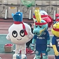 はな (@hana_hana_12_) 's Twitter Profile Photo