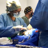 Hospital Veterinario Universidad del Tolima (@hospitalvetut) 's Twitter Profile