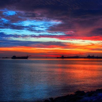 LowVoice224's profile picture. 