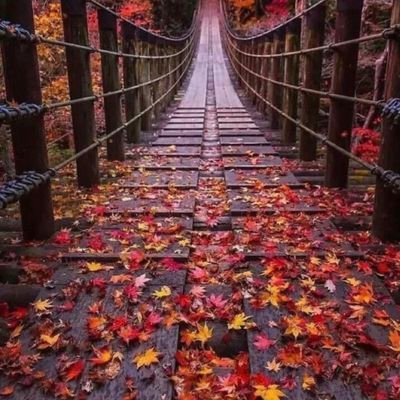 RdAmwt's profile picture. دز صورتك كامله ورسلني مادزها ماحجيك