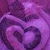 spupid (@spittercupid) Twitter profile photo spupid (@spittercupid) Twitter profile photo
