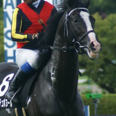 Bonheur_Aritake's profile picture. ガンバサポ（カテ２の住民　別名：師匠)/競馬(ほぼG1予想)/
F1・SF・GT・S耐・佐藤琢磨等々　
HNとプロフ写真は昔応援していたルタンデュボヌール号という馬
ボヌールはフランス語で「幸せ」
皆さんに幸せが届きますように☺
趣味一致の方の相互無言フォロー歓迎🙆怪しい垢は✋
俺たちが大阪さ青と黒俺等だけ