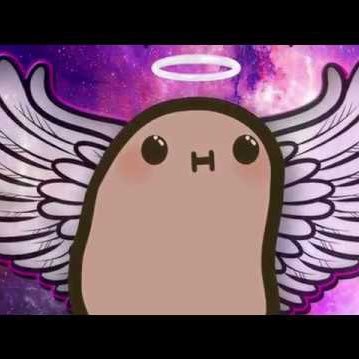 Mrpotatoesavage's profile picture. End the Fed.