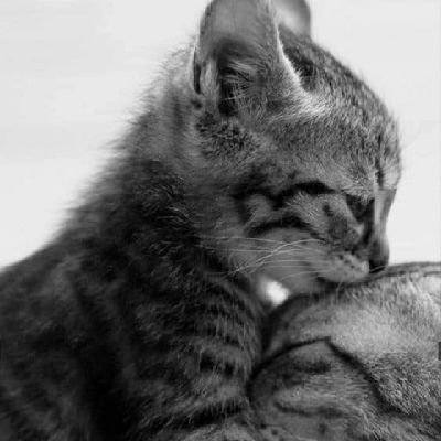 MahinthanMahi32's profile picture. rough