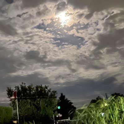 Nate78012991's profile picture. 
