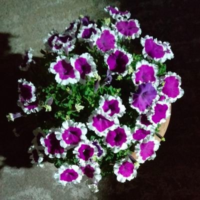 krrahul1990's profile picture. 