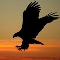 b (@sampiyonbesikts) 's Twitter Profile