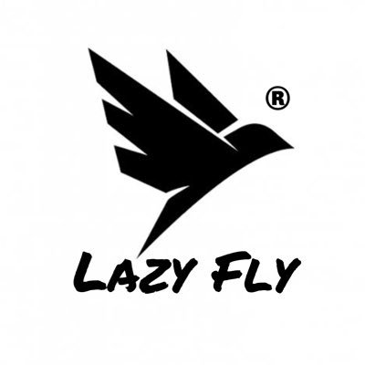 LAZY FLY