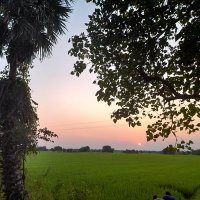 SivaChandran (@siva_chandranb) 's Twitter Profile