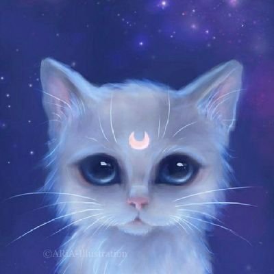 SasaDarkly's profile picture. 