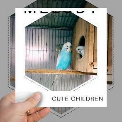 bachu1290's profile picture. 