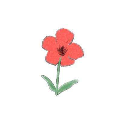 しらたまさんのプロフィール画像
