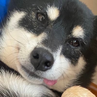 da_leechan's profile picture. 