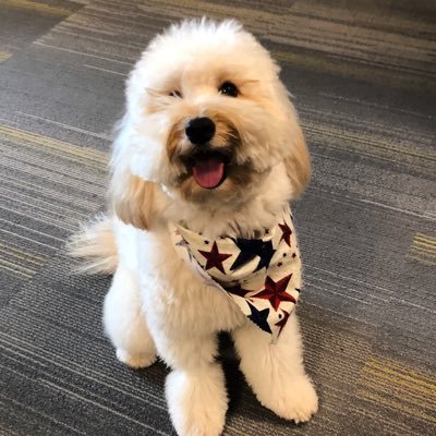 realNH926's profile picture. 