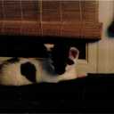 harry bee - @harrybee2 - Twitter