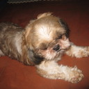 Phoenix Torres - @melrose2369 - Twitter