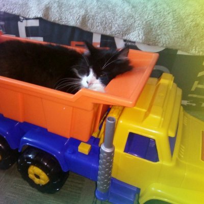 ceplis_raimonds's profile picture. Ad modum