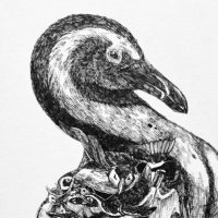 #B7282e (@b7282e_art) 's Twitter Profile