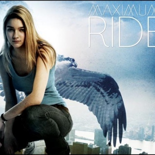 MaxAngelFlock's profile picture. Im the leader of my flock. Yes we are kids, we have wings and we fly. @GasmanGazzy, @thatblindIggy, @mindreaderAngel, @TheFangRide, @ItsFNick