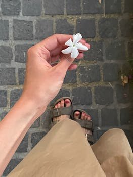 ChassidyEaves's profile picture. 新人互关
https://t.co/Jp2Rg9yMLq