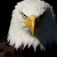 mert_can (@mert_can0671) 's Twitter Profile