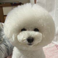 ๐ใฏใช๐ฉใใคใใผ๐ (@go21564742) 's Twitter Profile