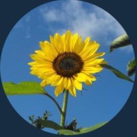 Kay parker (@kaylp2510) 's Twitter Profile