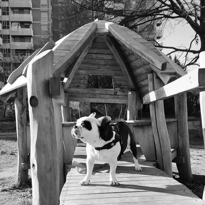 adriana_danisi's profile picture. 