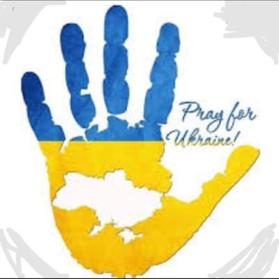 Lara74montse's profile picture. Podran tallar totes les flors, pero mai podran aturar la primavera.