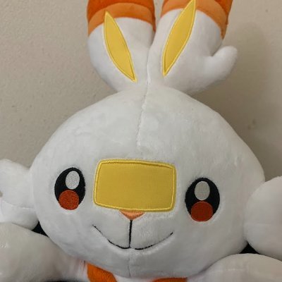 色々ポケモン🐰🔥