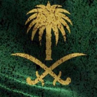 No_asdfgh's profile picture. ( #kfupm Aerospace