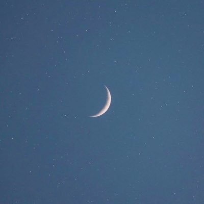 みよよさんのプロフィール画像