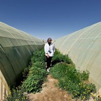 فاء (@ftoumalkh) 's Twitter Profile