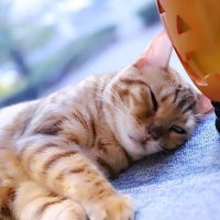 matsu (@matsu02505) Twitter profile photo