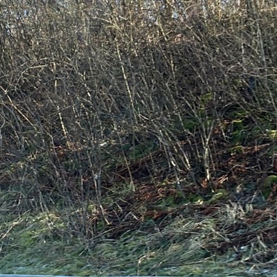 TechIsGreat3's profile picture. TechIsGreat