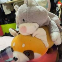 あおぬん (@aonun_00) 's Twitter Profile Photo あおぬん (@aonun_00) 's Twitter Profile Photo
