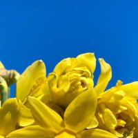 Sarah Johnson (@sarahwhpress) 's Twitter Profile