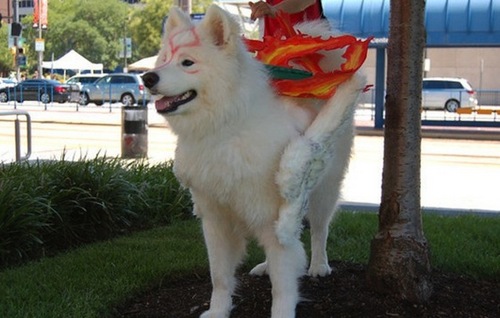 scar_t's profile picture. Rendering Engineer at ChiefRebel.
Previously: Frostbite, Avalanche Studios, Oracle, Intel.
Only personal views here. 🇲🇽🇸🇪