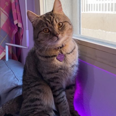 Axelirious_'s profile picture. Your Friendly Neighborhood Axel • Milo’s mom🐈‍⬛🌈