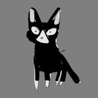 N0 (@qwe1007) 's Twitter Profile Photo